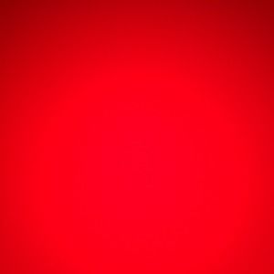 Meet your Posher, Tess